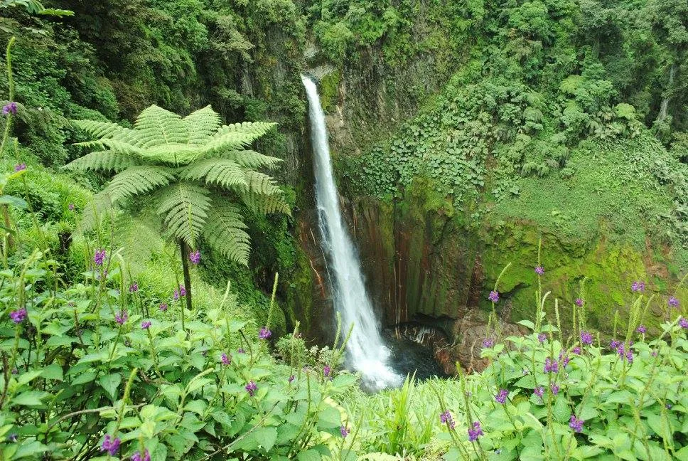Costa Rica Tiempo | Pronóstico, Clima y Guía de Viaje