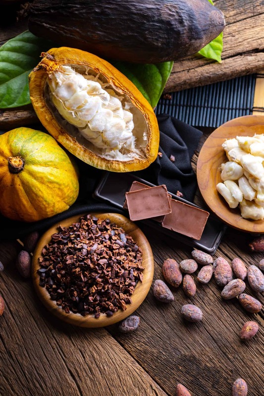 Costa Rica Best Chocolate Tour
